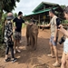 chiang_mai2025_tour_pon_elephant_camp31.jpg