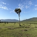 masai_mara2026_safari2_4.jpg
