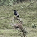 nairobi2026_hells_gate39.jpg